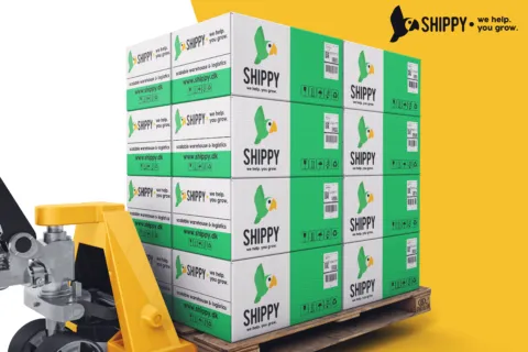 Pallet truck mock-up